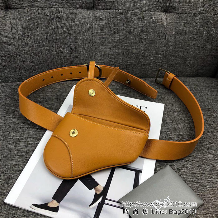 DIOR迪奧 Vintage Saddle Bag馬鞍小腰包  zdo1242